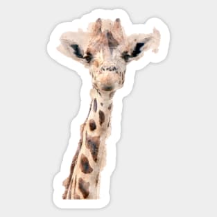 There is a Giraffe in the Room again! Sticker